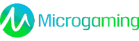 MICRO GAMING